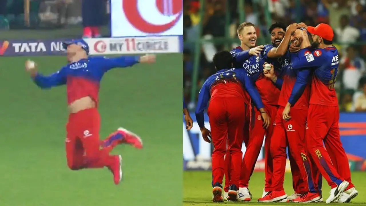 faf du plessis takes brilliant catch virat kohli kiss