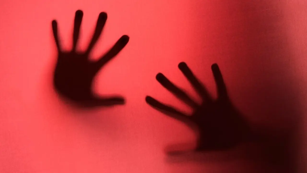 Tamil Nadu: College Student Gang-Raped by Three Youths Near Coimbatore Airport, Search on For Accused