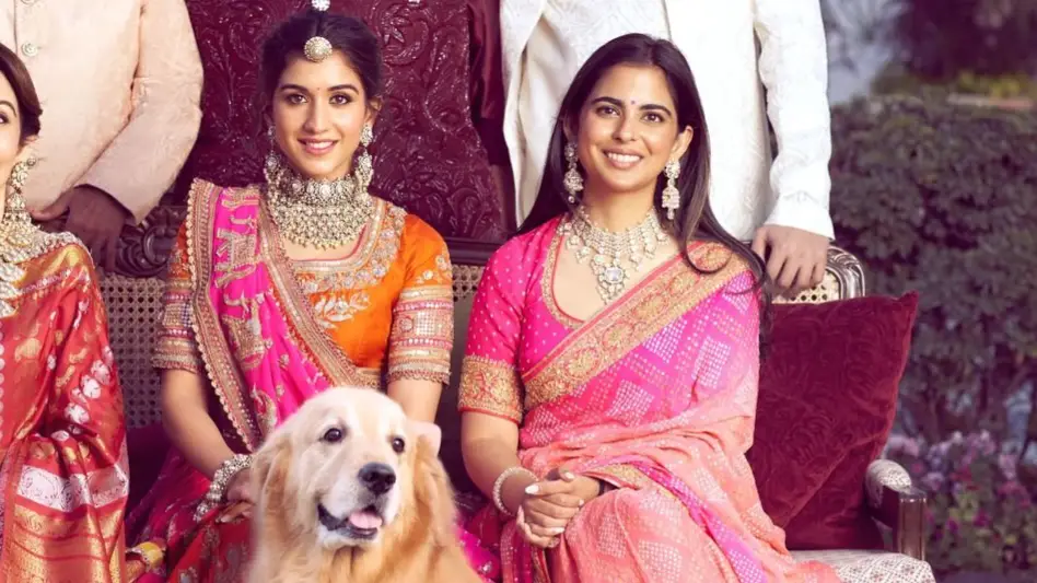 Description of the pic