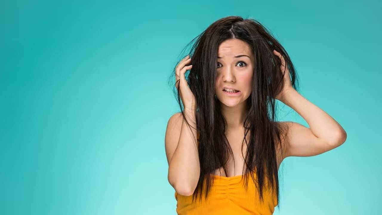 Description of the pic