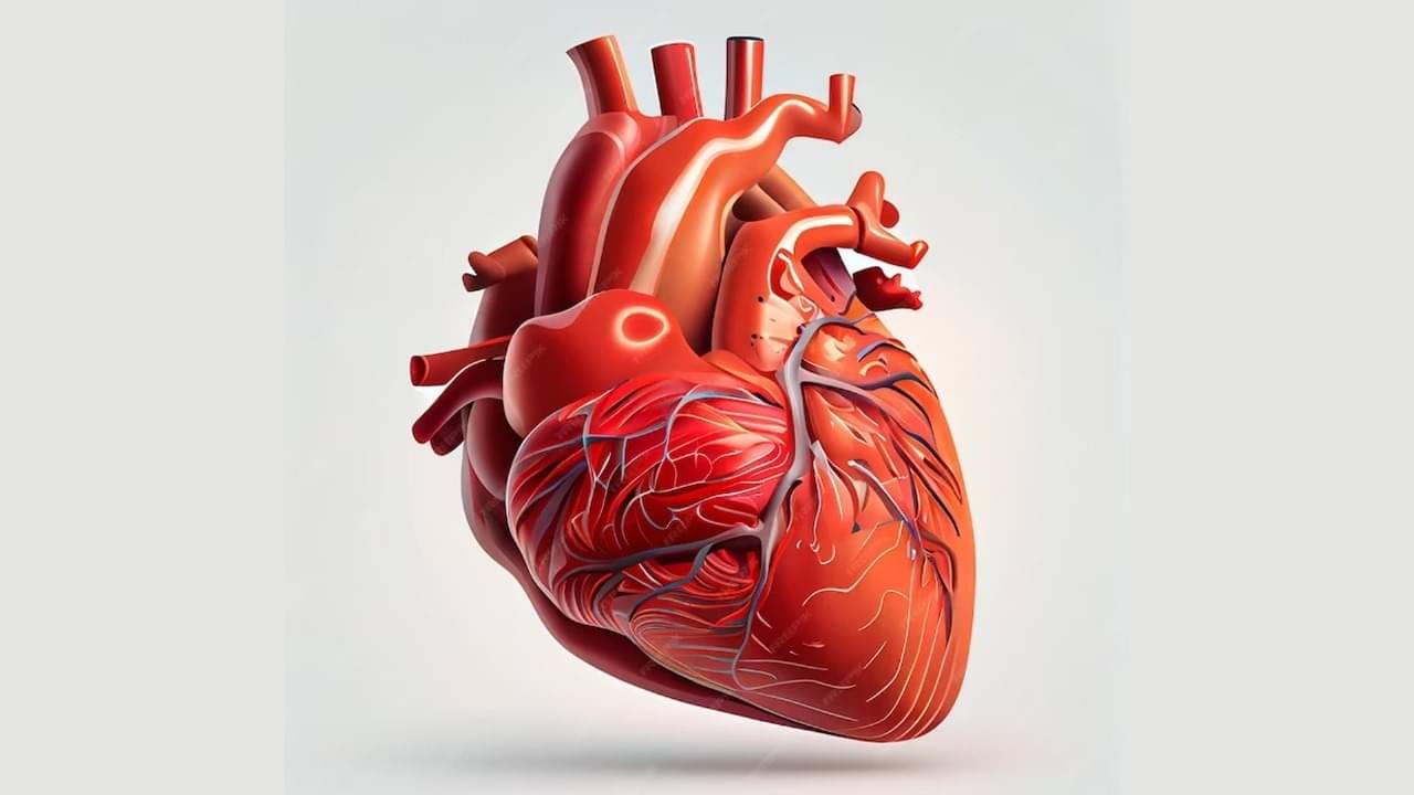 Description of the pic