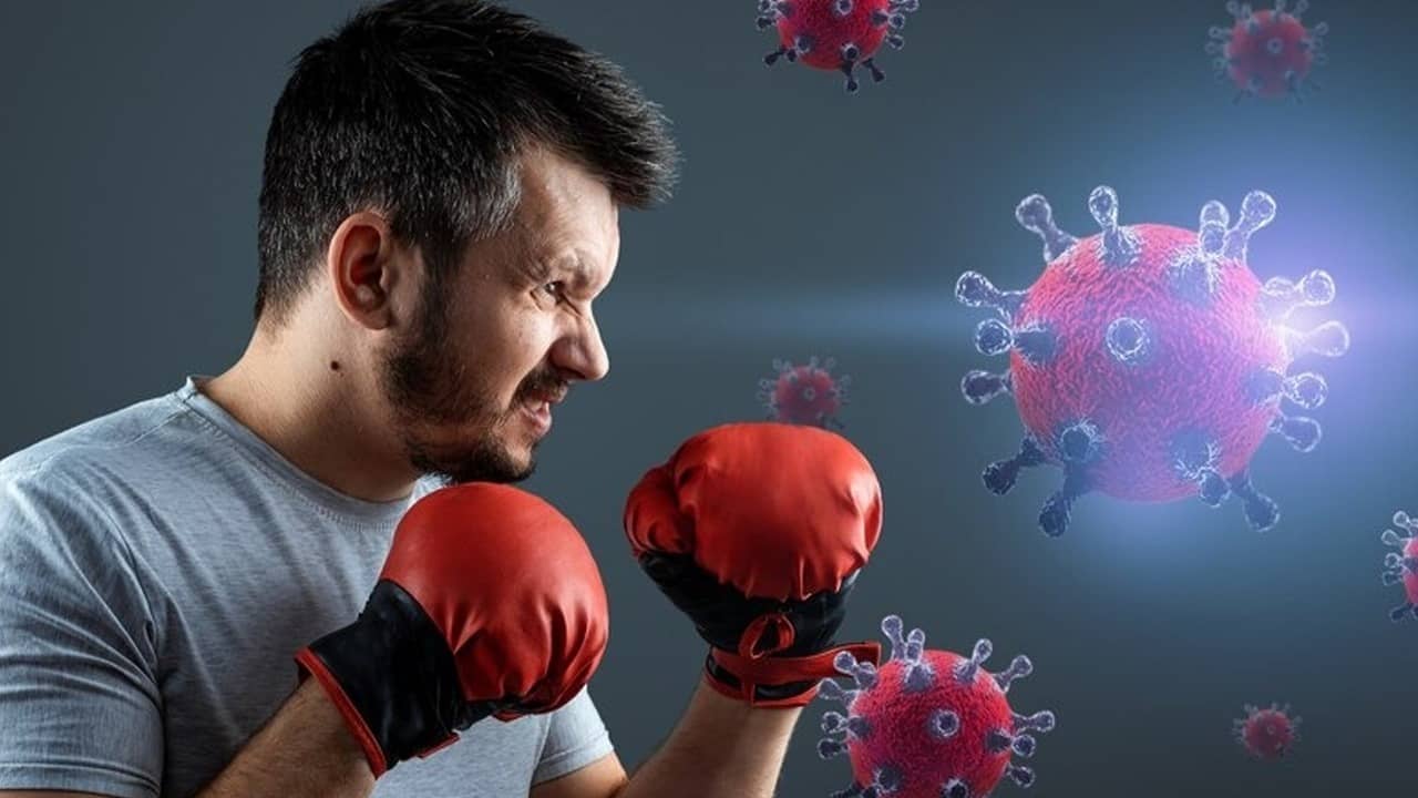 Description of the pic