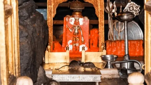 Karni Mata temple