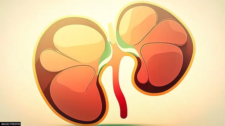 Lemon for Stone: 2 रुपये के नींबू से पथरी को कैसे निकालें? जानें देसी इलाज kidney