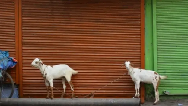 meat shops will remain closed