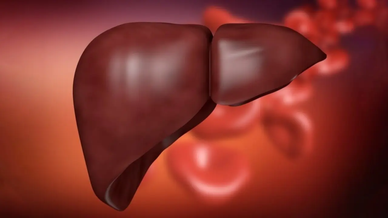 Liver