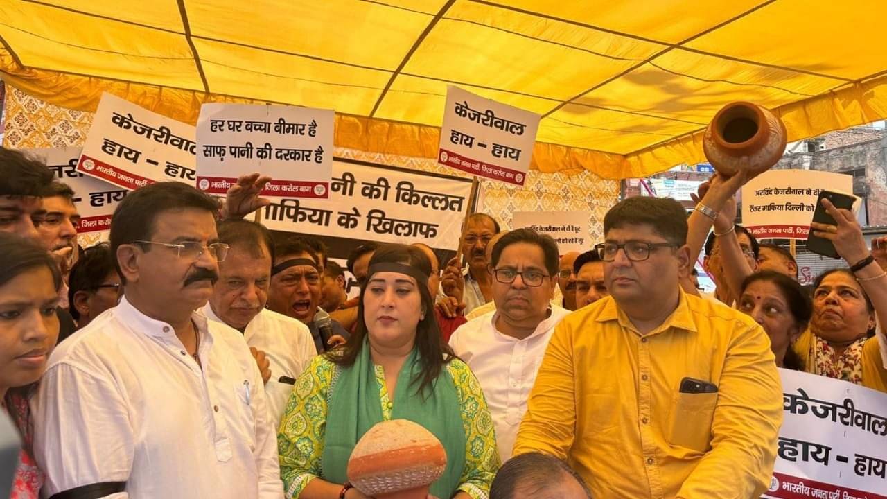 Description of the pic