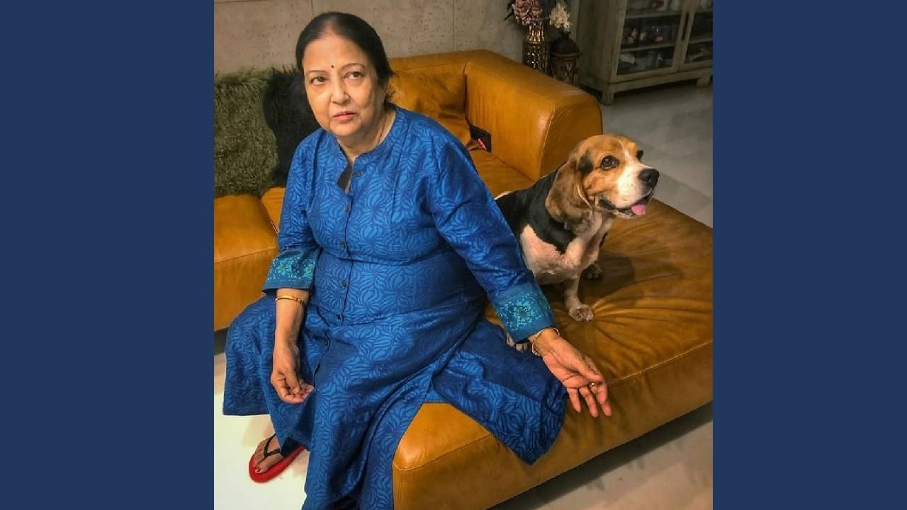 Description of the pic