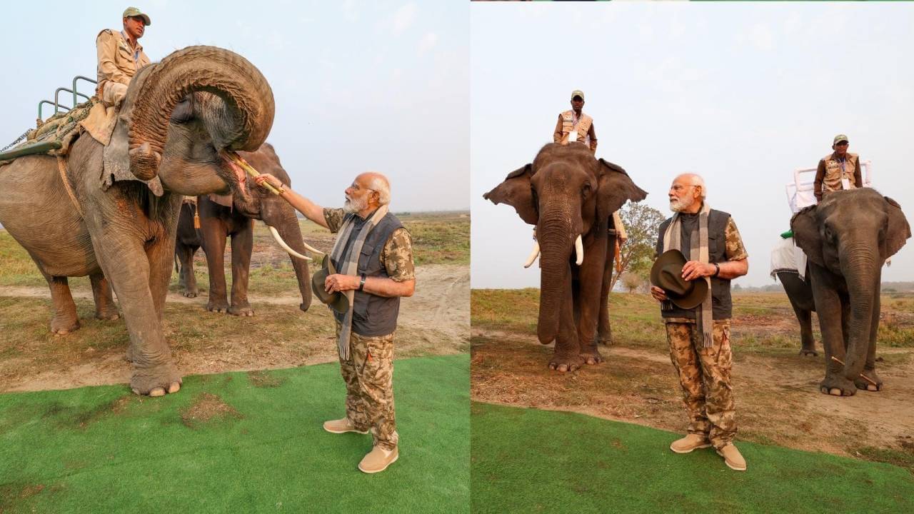 Description of the pic