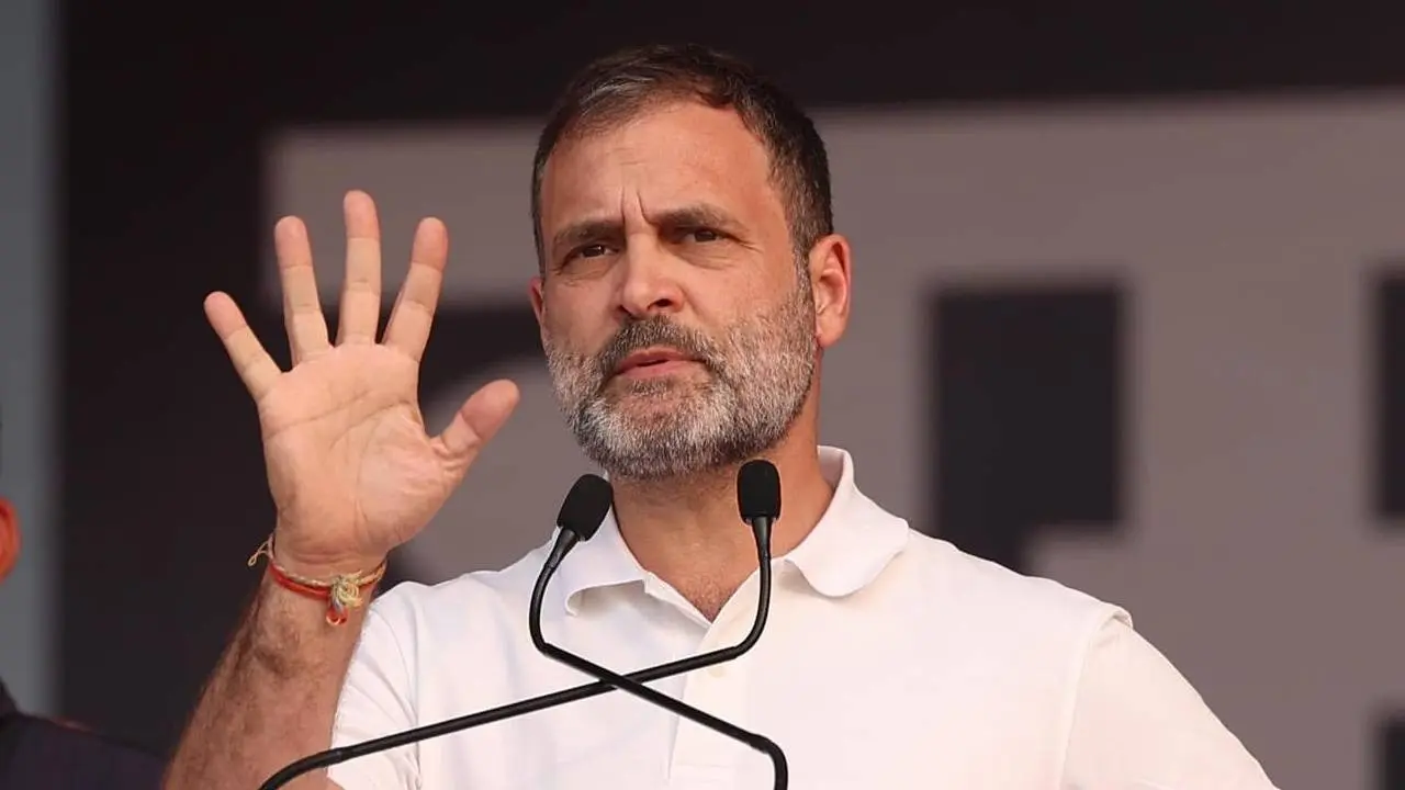 Another Self goal: Times When Rahul Gandhi's Gaffes Left Congress Red-faced rahul gandhi