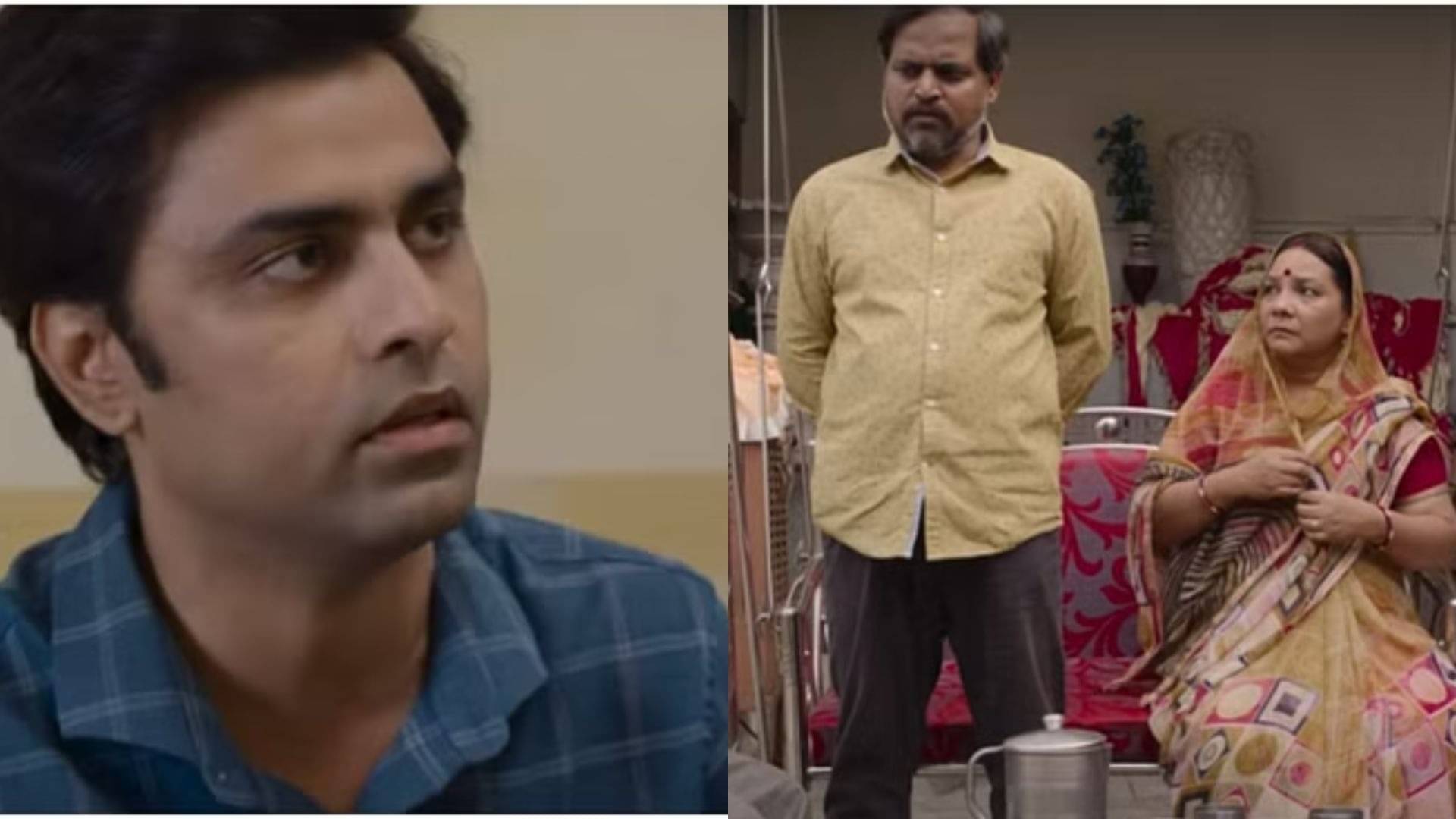 Description of the pic