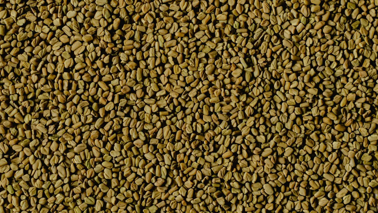 Fenugreek Seeds