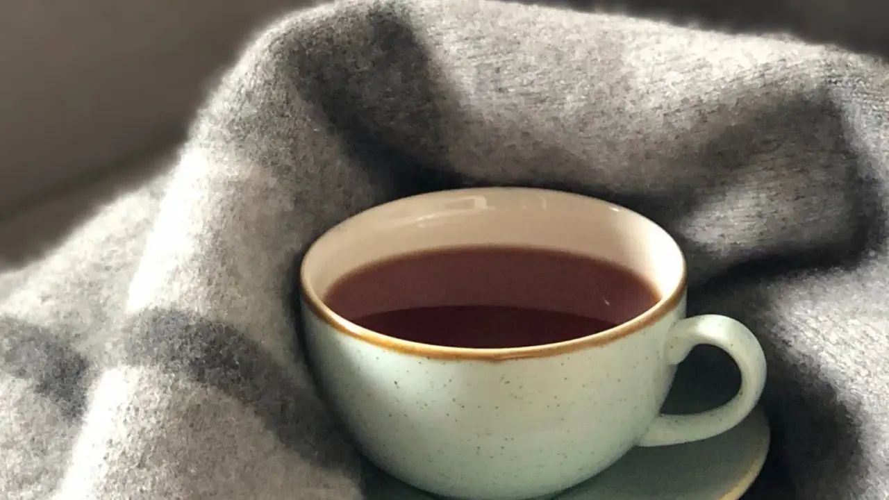 Tea For Winters: ठंड से हो गया है बुरा हाल! रोजाना पिएं ये स्पेशल चाय, शरीर में बनी रहेगी गरमाहट tea