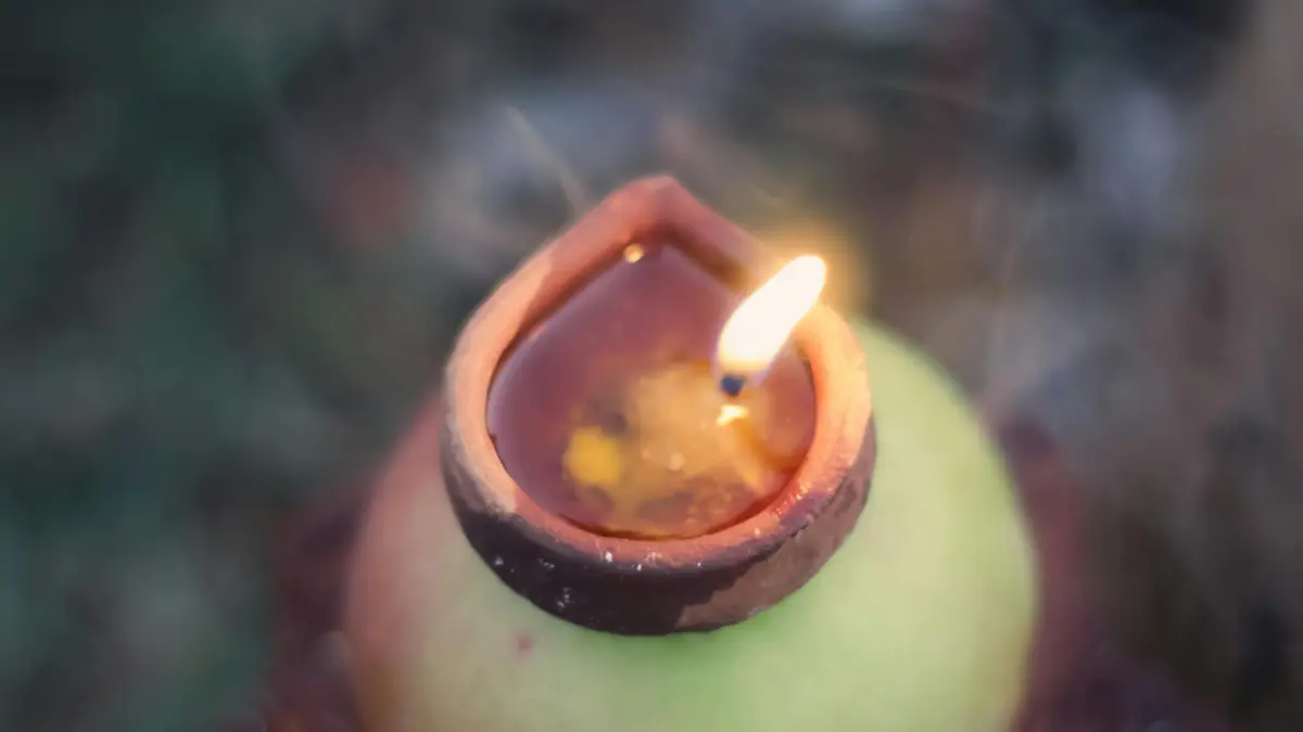 Puja Niyam: घर में लक्ष्मी की कृपा चाहिए? शाम की पूजा में भूलकर भी न करें ये 5 गलतियां Somwati Amavasya