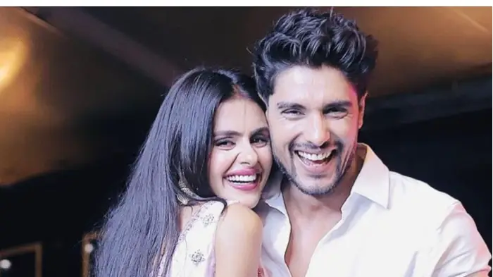 Description of the pic