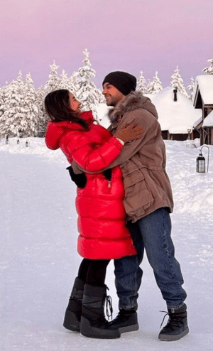 Description of the pic