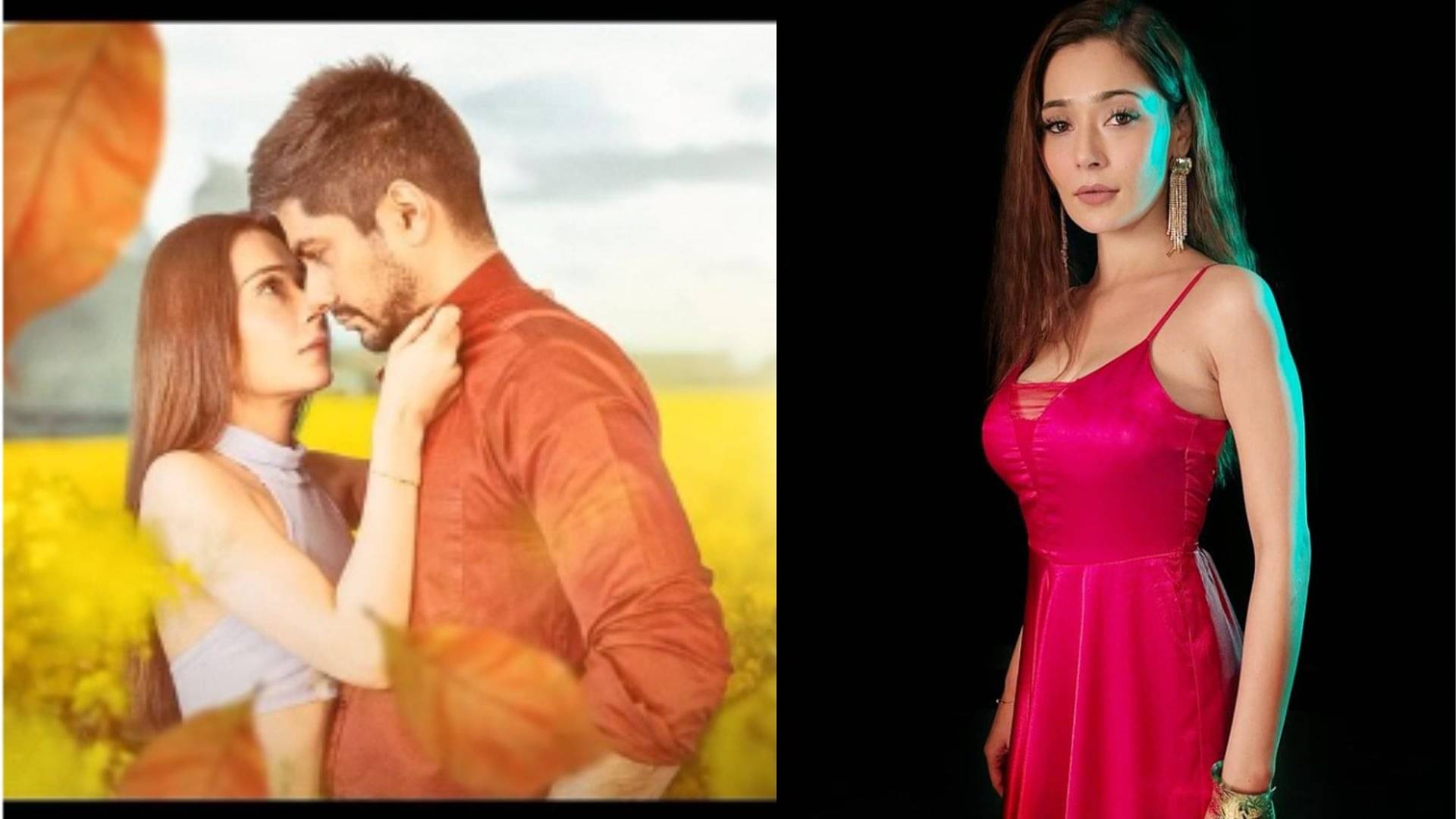 Description of the pic