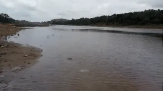 Flood Alert Issued in Coimbatore, Bhavani River Water Level Rises