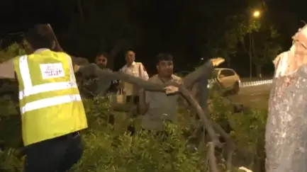 trees fell over vehicles in dwarka