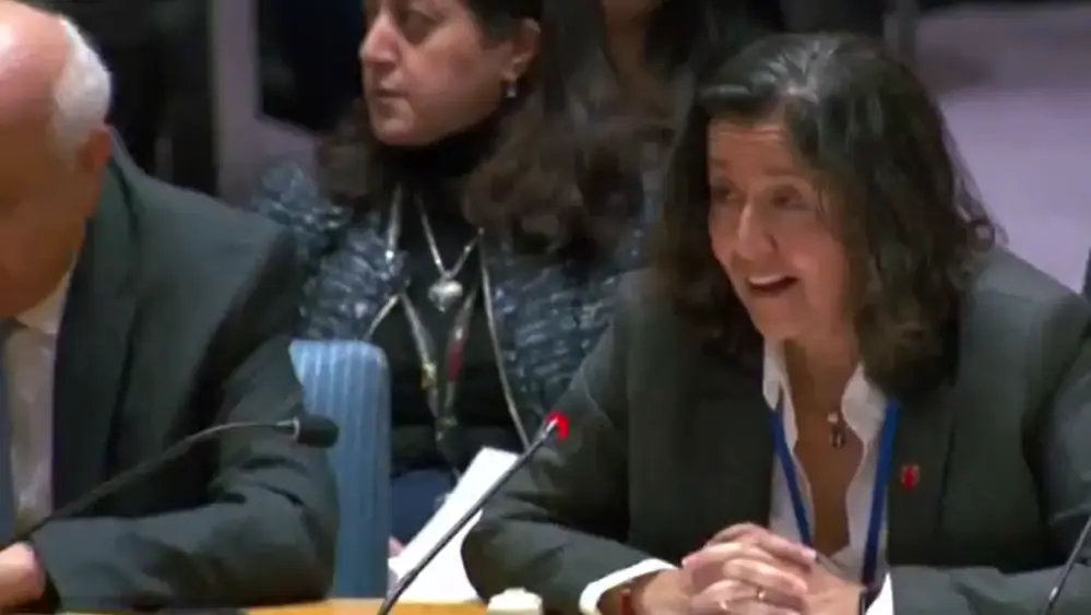 New York Earthquake UNSC