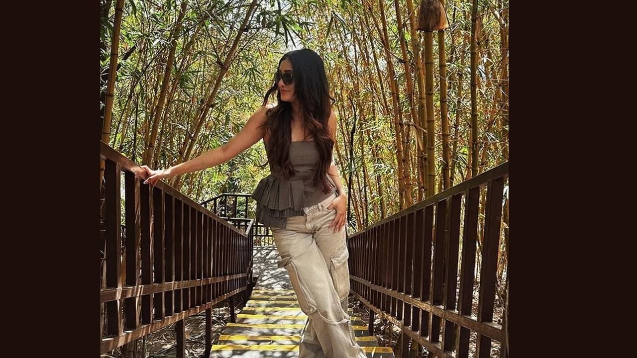 Description of the pic