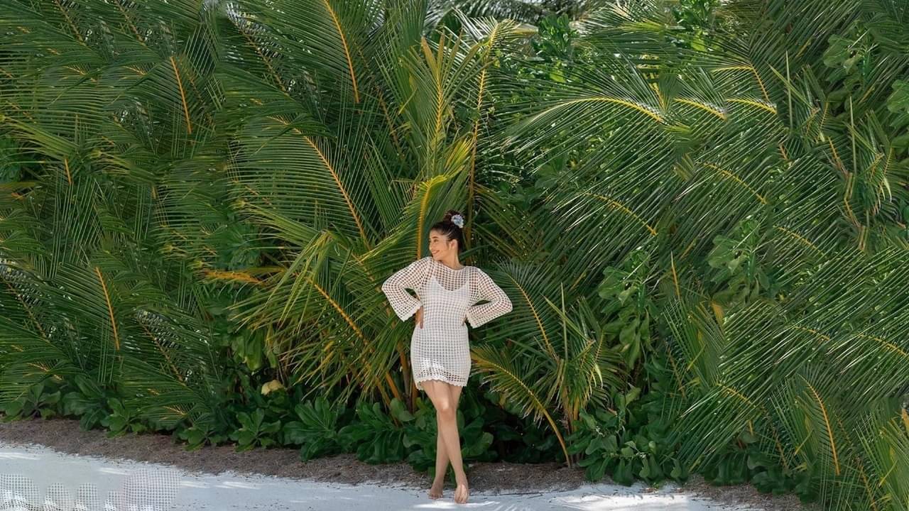 Description of the pic