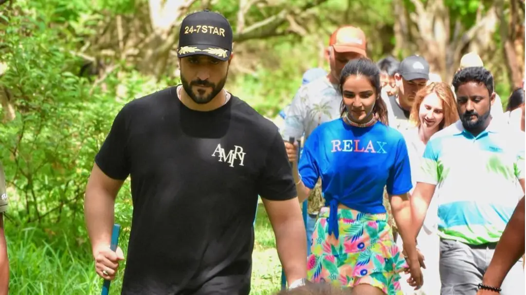 Description of the pic