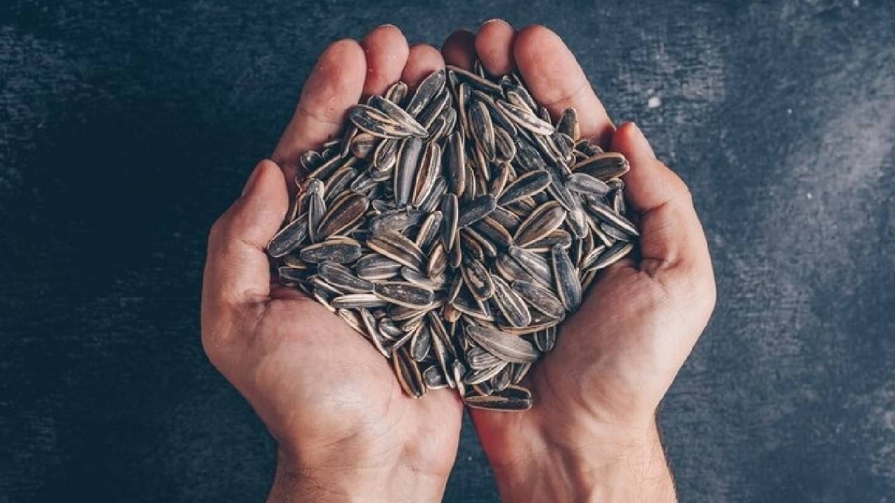 Description of the pic