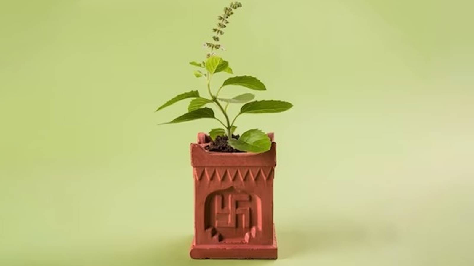 Description of the pic