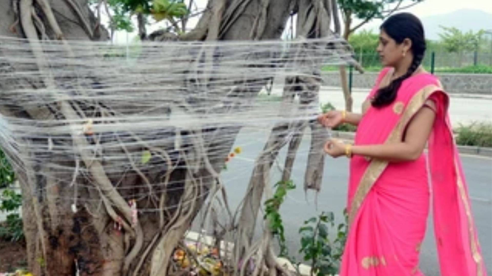 Vat Purnima Vrat Know Date, Muhurat, Significance, Puja Vidhi And More