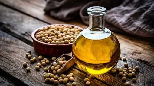 soybean oil, oilseeds