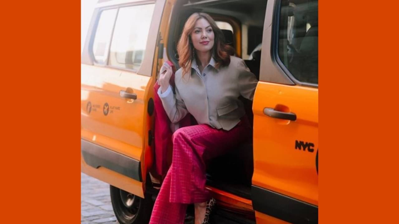 Description of the pic