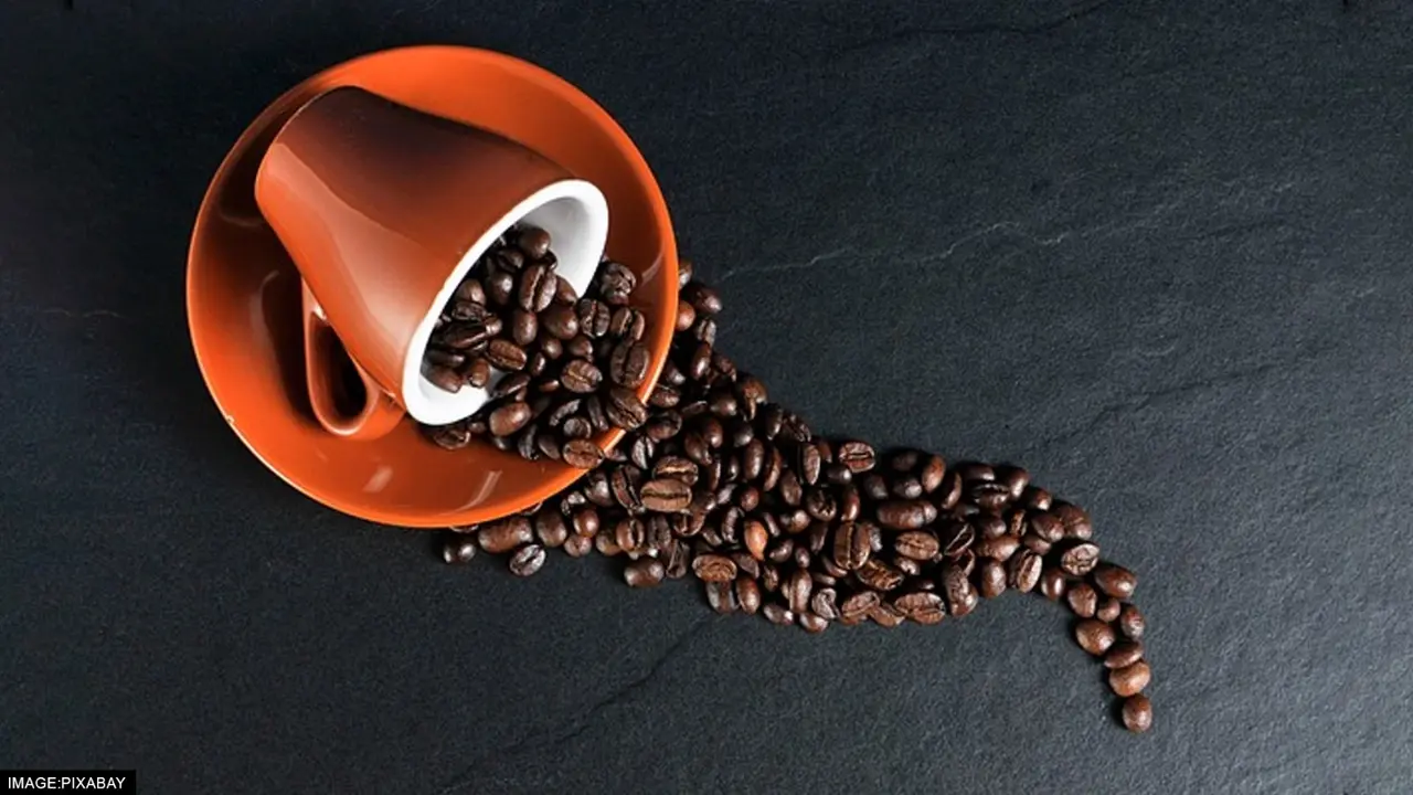 India coffee exports increased