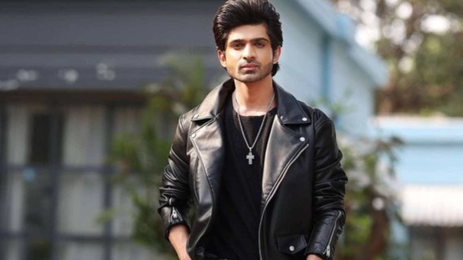 Description of the pic