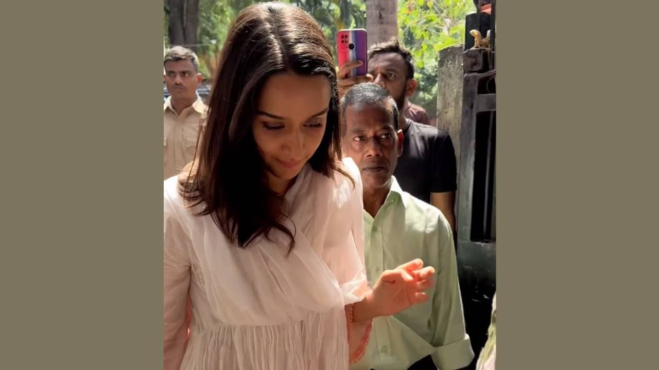 Description of the pic