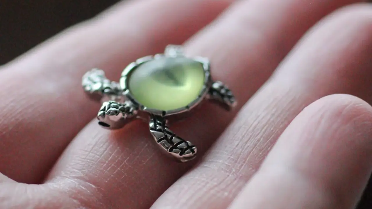 Tortoise Ring