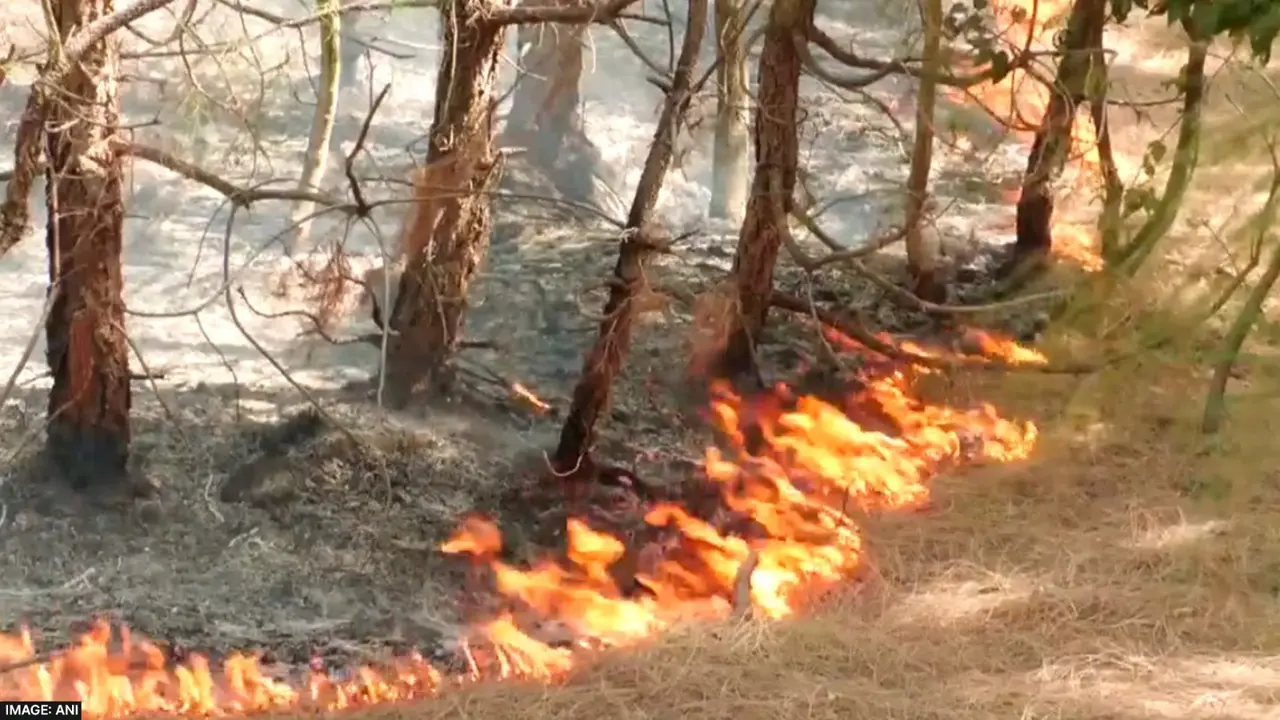 Forest fire increases trouble in Jammu