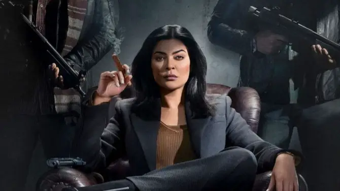 Description of the pic