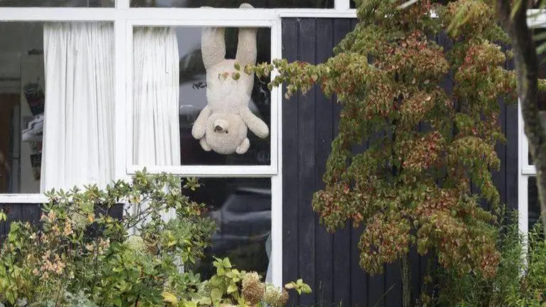 New Zealand embraces teddies to help make lockdown bear-able