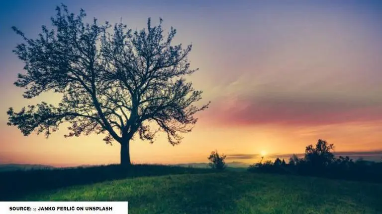 3 leaves and 2 trees puzzle: Does this puzzle have any solution? 3 leaves and 2 trees puzzle