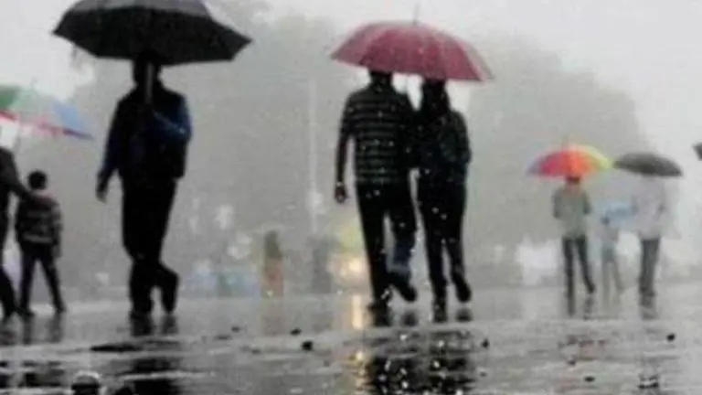 Gujarat: Following torrential rainfall; cattle washed away in a village in Saurashtra Gujarat floods