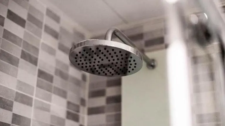 Spanish councillor live-streams himself taking a shower during meeting, offers to resign Spanish councillor showers during live stream with colleagues