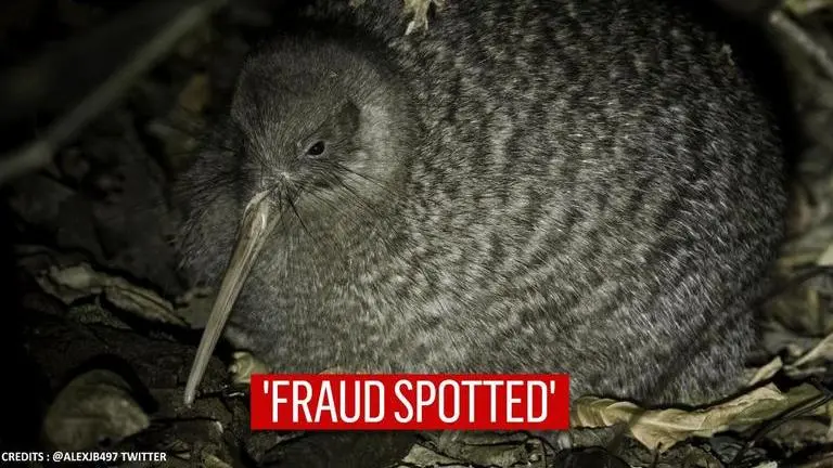 Voter fraud ruffles New Zealand’s ‘Bird of the Year’ competition, 1500 votes disqualified voter fraud