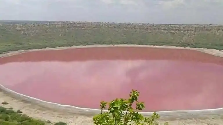 Lonar lake turned pink due to 'Haloarchaea' microbes: Probe