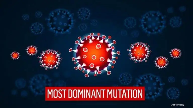 COVID-19 genetic mutation likely made disease more contagious: Study COVID-19
