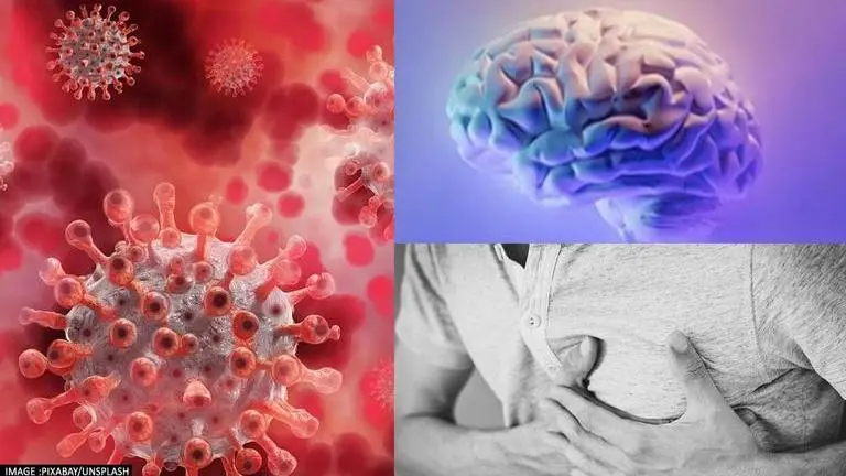 COVID: Can virus spread to heart & brain days after infection? Here's what new study says COVID-19