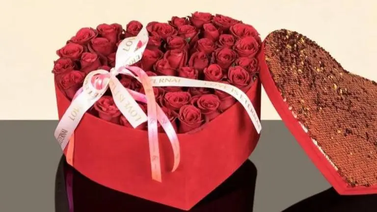 Happy Rose Day: From white, red to yellow, know significance of different colours of roses happy rose day