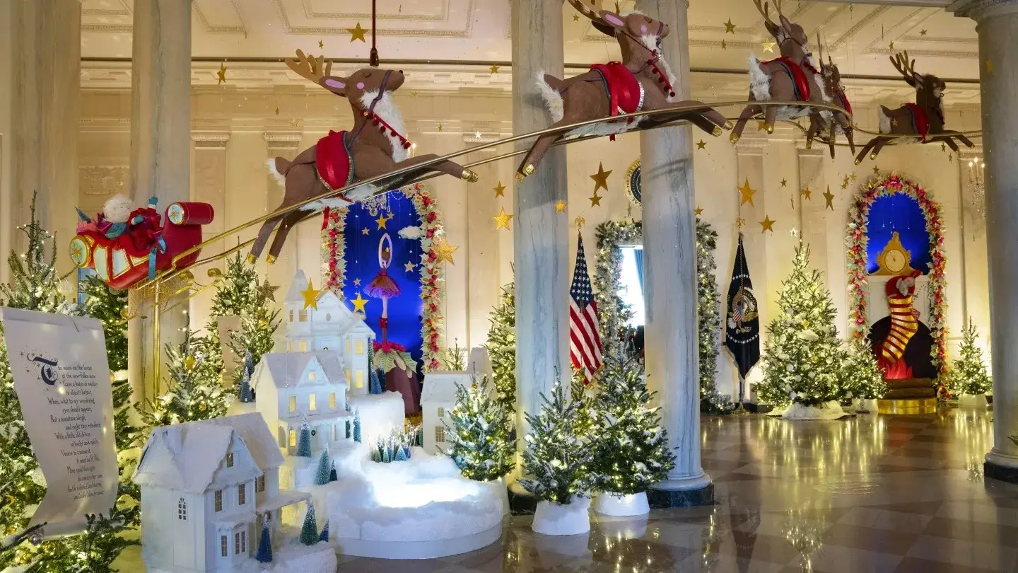 Description of the pic