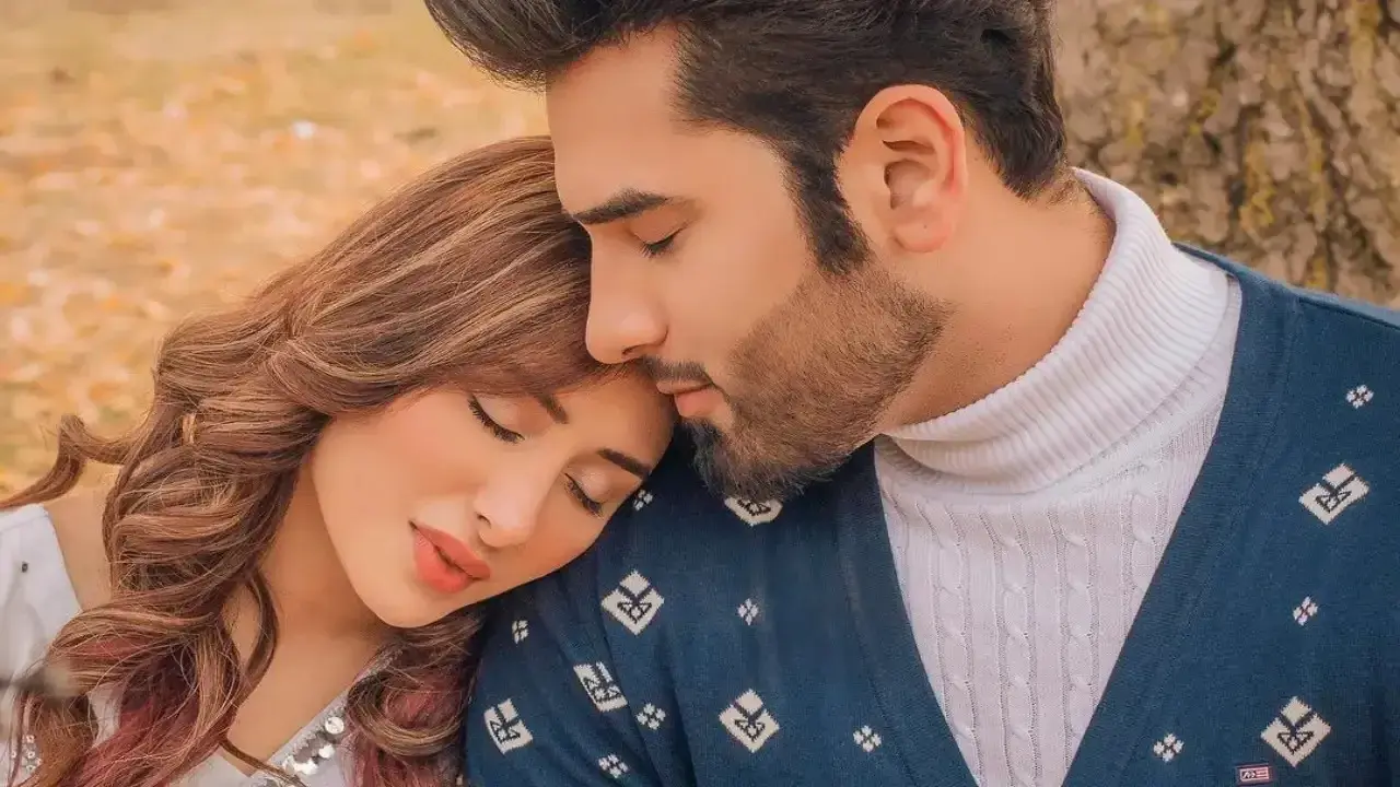 Bigg Boss 13 Paras Chhabra-Mahira Sharma Breakup: Actor Says 'Live-In Mein Relationship Kharab...' Paras Chhabra-Mahira Sharma