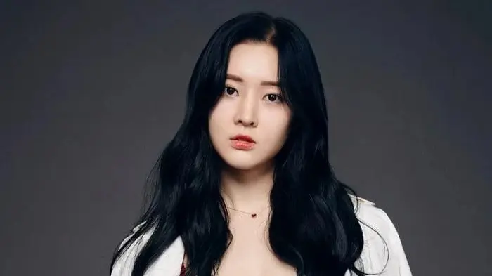 Former T-ara Member Areum Hospitalised After Suspected Suicide Attempt: Reports T-ara Member Areum